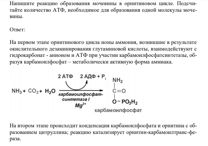 Напишите реакцию образования мочевины в орнитиновом цикле.