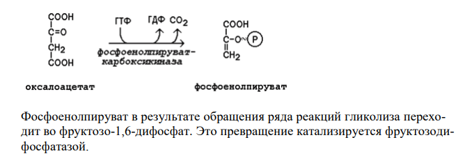 При отщеплении аминогруппы аспарагиновая кислота превращается в оксалоацетат, который включается в процесс гликогенеза. Составьте схему синтеза глюкозы из аспарагиновой кислоты. Напишите формулами окислительно-восстановительную реакцию, укажите фермент.