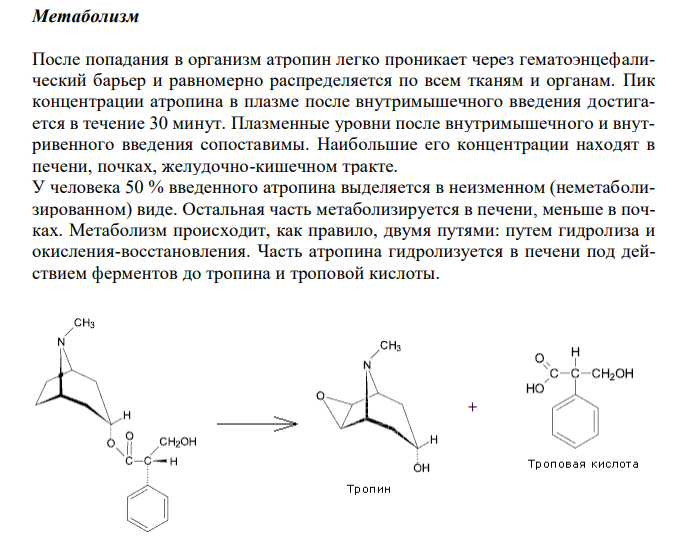   Отразите основные пути метаболизма атропина. Поясните стадии метаболизма. 