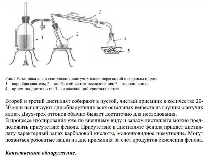  Схема химико-токсикологического исследования фенола. 