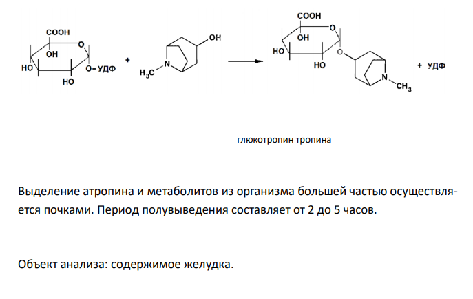  На судебно-химическое исследование доставлены желудок с содержимым (500 г) трупа мальчика Р., 10 лет, скоропостижно скончавшегося от асфиксии через час после поступления в больницу. Из опроса матери известно, что ребенок пришел с прогулки очень возбужденным, громко разговаривал, смеялся, отмечались галлюцинации, резкое расширение зрачков. Вскоре потерял сознание и был доставлен в больницу, где и скончался. При паталогоанатомическом вскрытии в желудке обнаружены остатки черных ягод с мелкими семенами. Подозревается отравление ягодами белладонны. Проведите судебно-химическое исследование и дайте заключение. 
