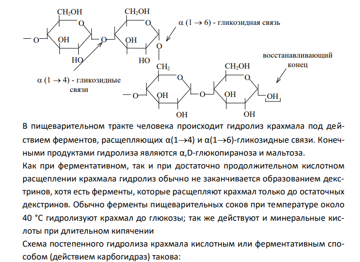  Напишите структурными формулами химические реакции расщепления крахмала в пищеварительном тракте, охарактеризуйте ферменты, участвующие в этом процессе и механизм всасывания глюкозы. 