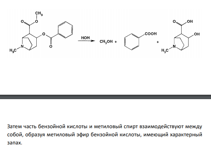  Обоснуйте определение подлинности кокаина гидрохлорида (ГФ X, ст.167) по методике: 0,1 г препарата нагревают с 1 мл кислоты серной концентрован- ной в пробирке на кипящей водяной бане 5 минут, после чего осторожно прибавляют 2 мл воды; ощущается ароматный запах метилового эфира бензойной кислоты. После охлаждения при длительном стоянии выпадают кристаллы бензойной кислоты, растворяющиеся в спирте. Ответ подтвердите химизмом реакций. 