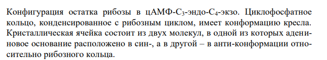  Напишите формулу 3',5'- цАМФ. Опишите механизм регулирующего действия гормонов на примере глюкагона и адреналина. 