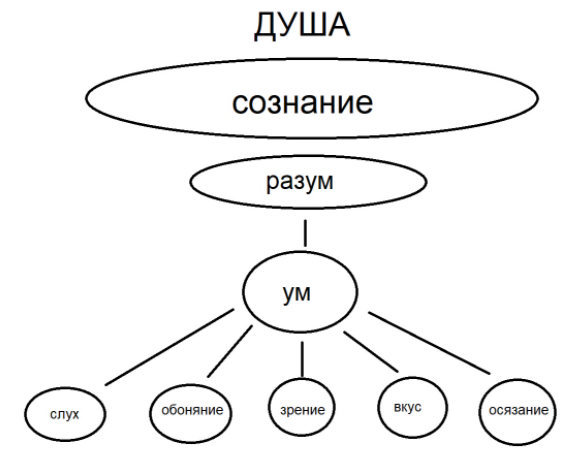 Эстетическое сознание, его формы (эстетические чувства, вкус, идеал, оценка, взгляды, теории)