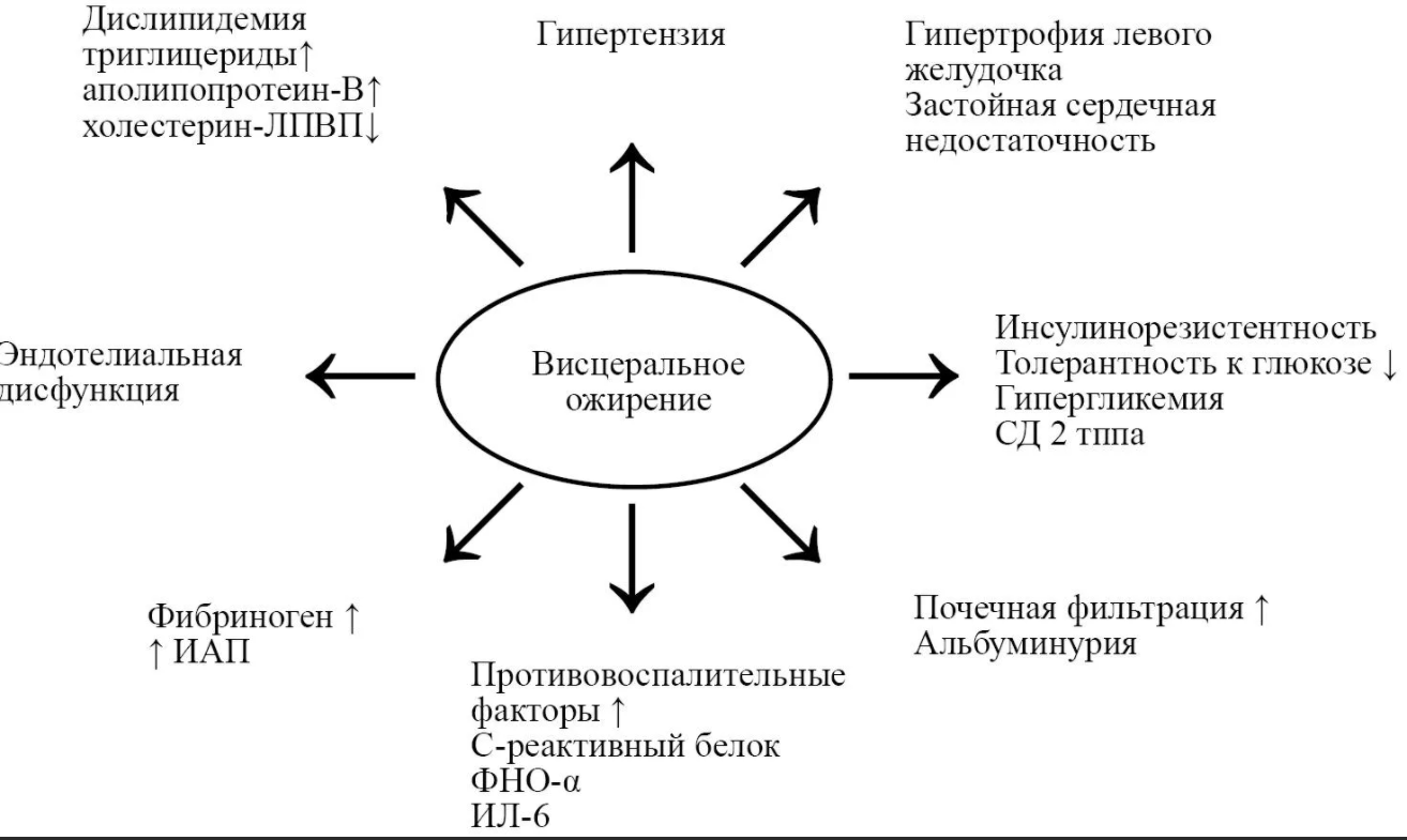 Я-концепция женщин с избыточным весом - Понимание концепции самосознания Р. Бернса