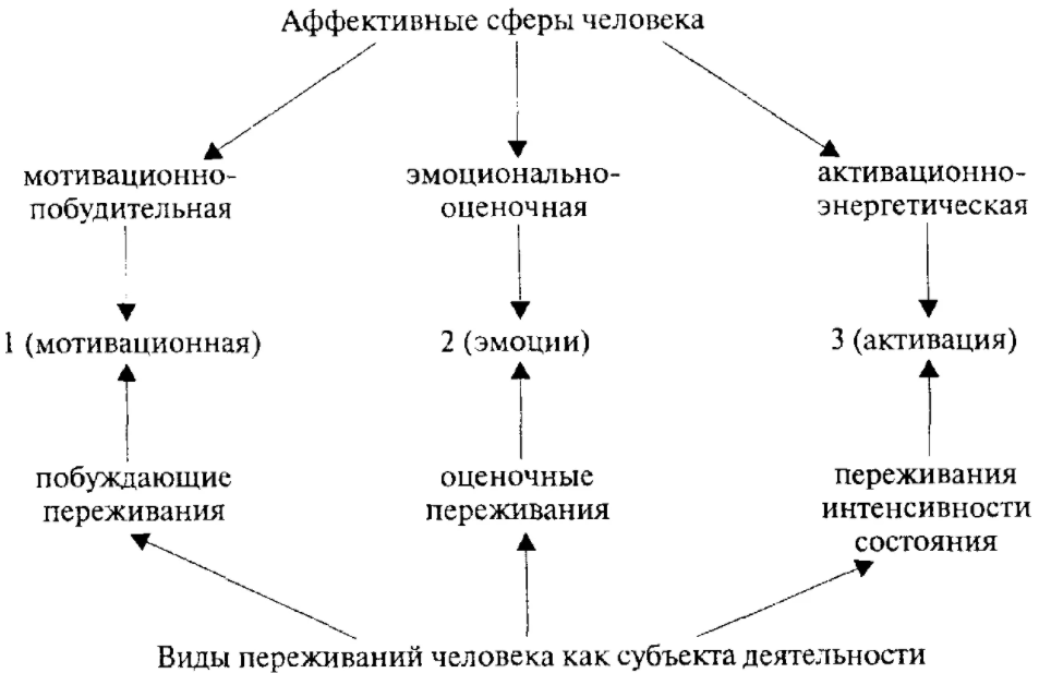 Эмоциональная и волевая сфера личности - Эмоциональная сфера личности