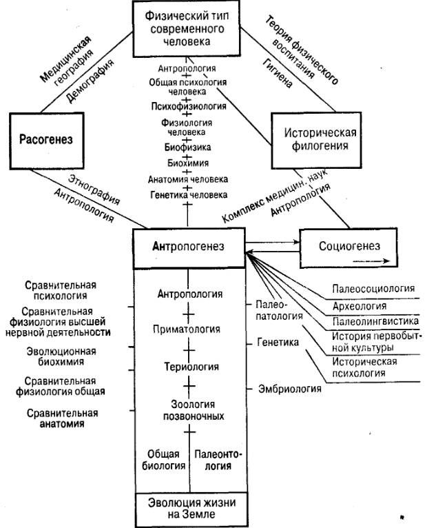 Эволюционная и сравнительная психология - Основные теории сравнительной психологии