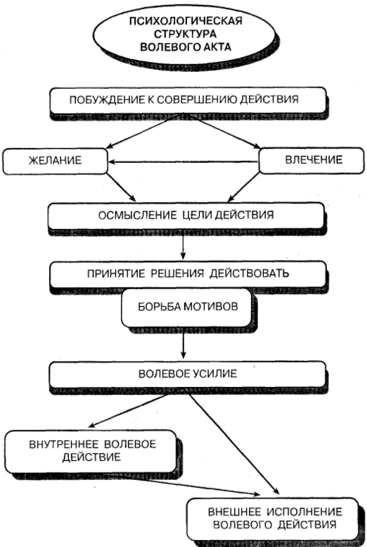 Эмоционально-волевая сфера личности пожилого человека - Эмоциональная сфера как социальная функция человека