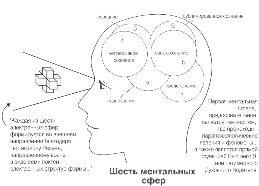 Эмоциональное сознание - Эмоция и эмоциональная система