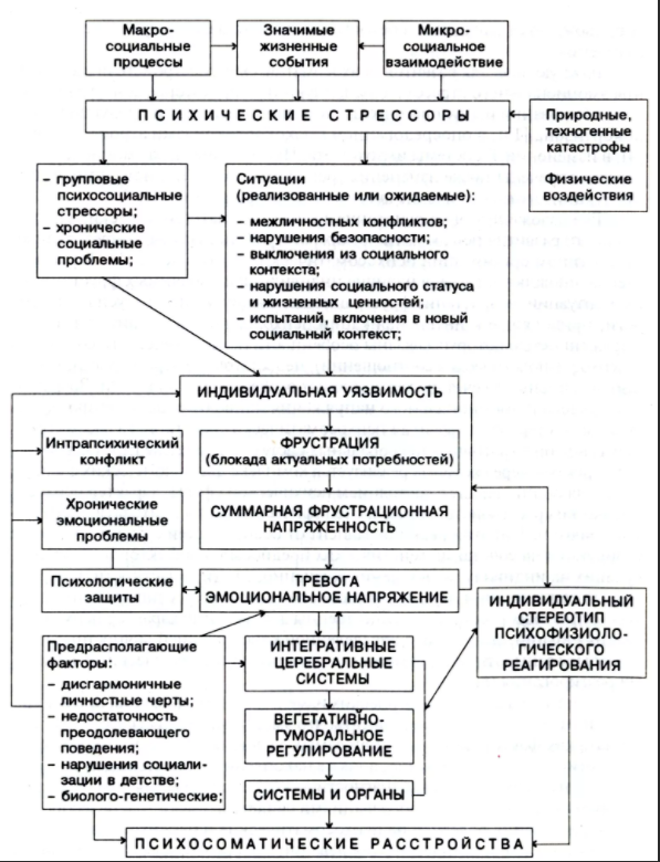 Эмоциональный стресс - Понятие и виды стресса