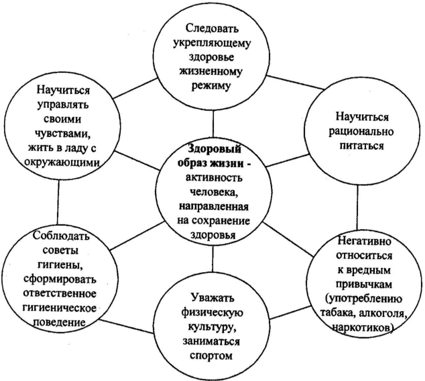 Формирование здорового образа жизни: взгляд с позиции социальной психологии - Здоровье человека как социальная ценность