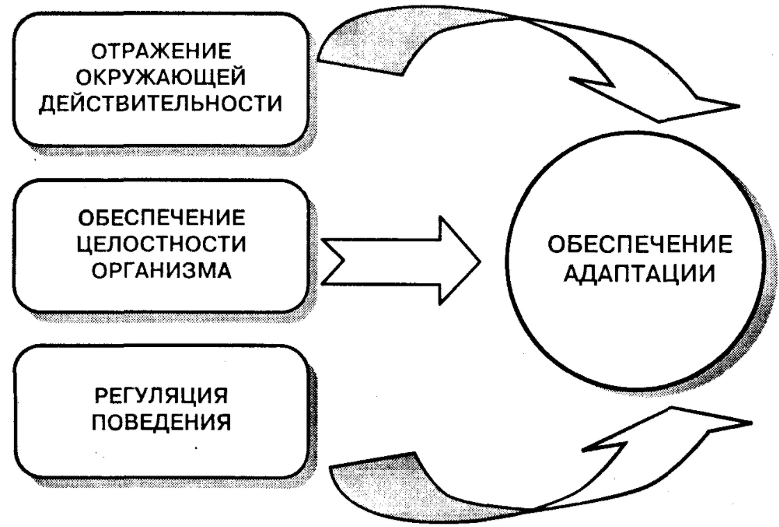 Функции психологической коррекции - Психологическая коррекция: цели, задачи, организация