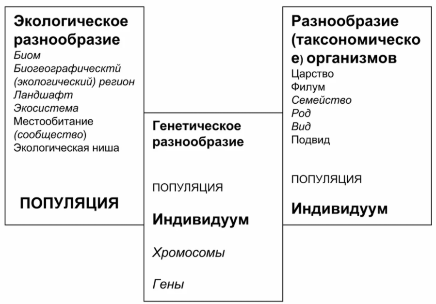 Феноменологическая теория личности К. Роджерса - Гуманистический подход к анализу личности