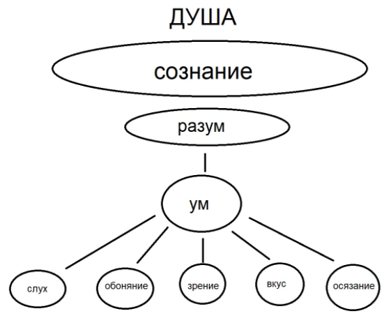 Что важнее: чувства или разум - Эмоции и мышление