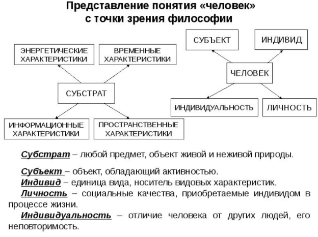 Человек как предмет философской рефлексии - Философская антропология