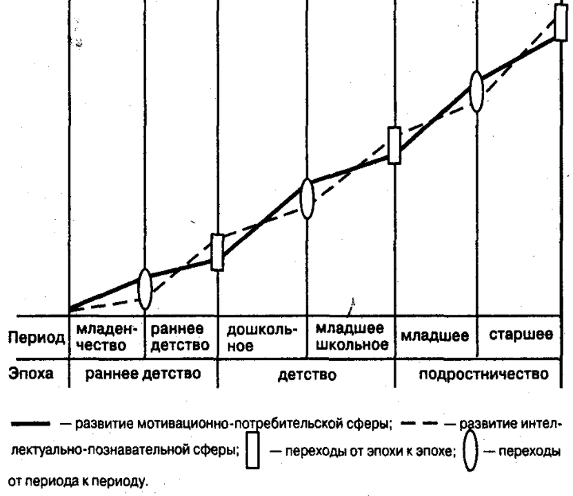 Теория и периодизация социального развития индивида Д. И. Фельдштейна - Периодизация психического развития у российских психологов (Л.С. Выготский, Д.Б. Эльконин, А.В. Петровский)