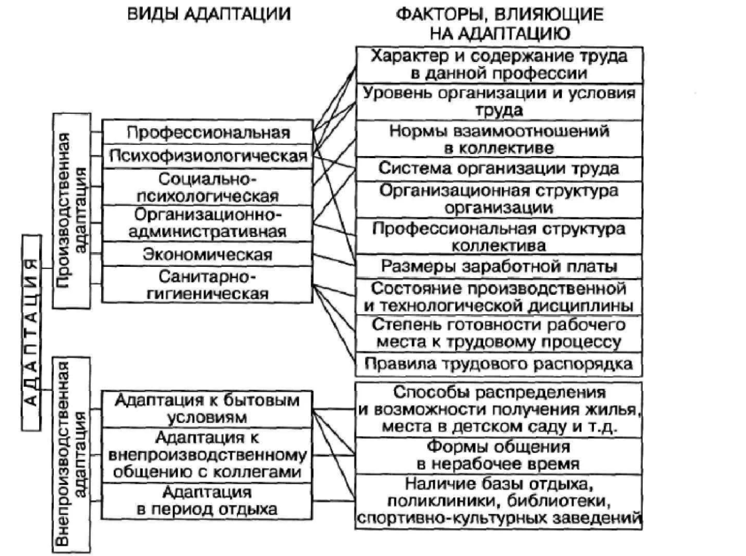 Адаптация предприятия к рынку - Цель и конкурентоспособность