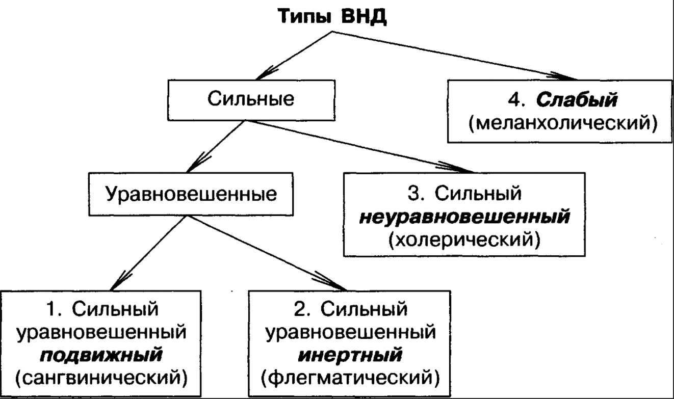 Темперамент: понятие, проявления, типология, физиологические основания - Общее понятие темперамента