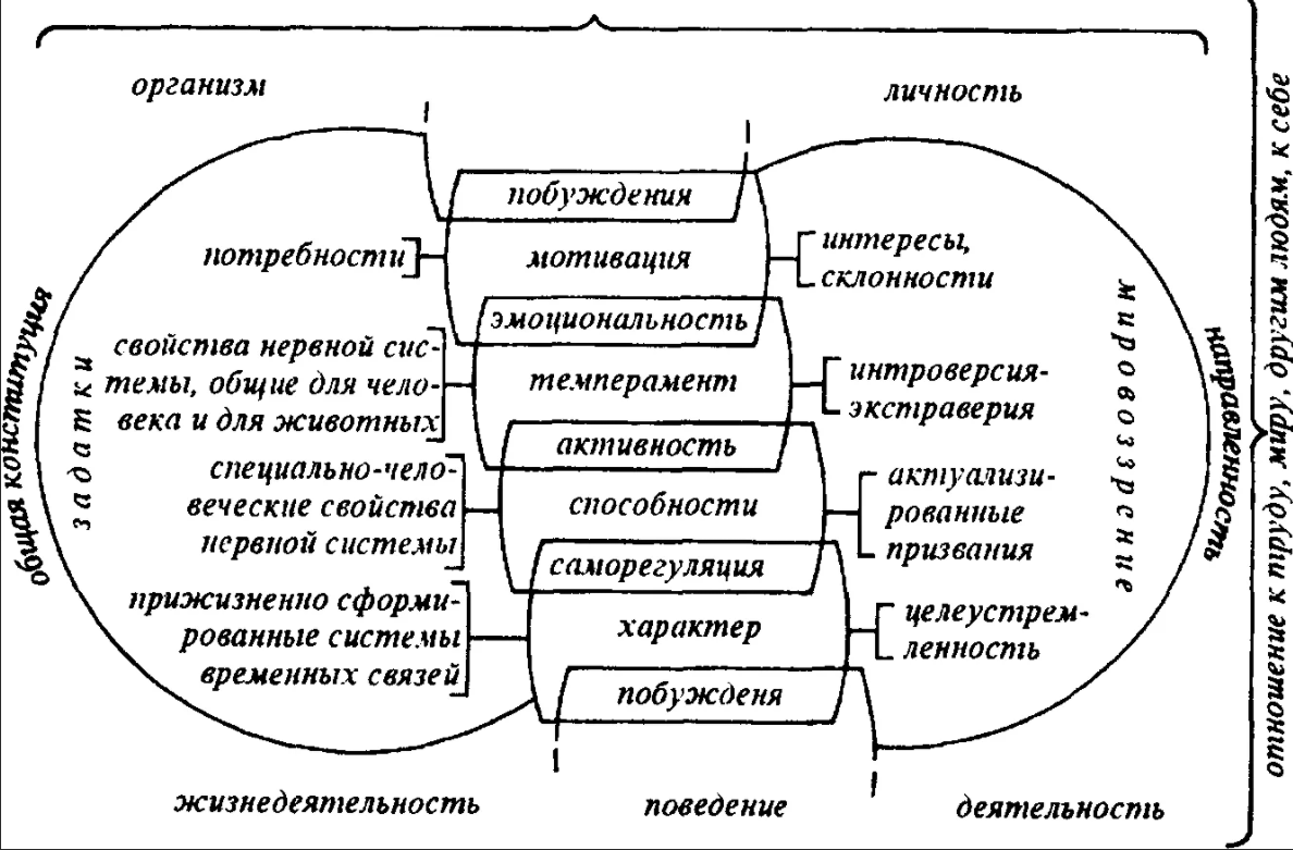 Темперамент и характер - Типы темпераментов и их психологические характеристики