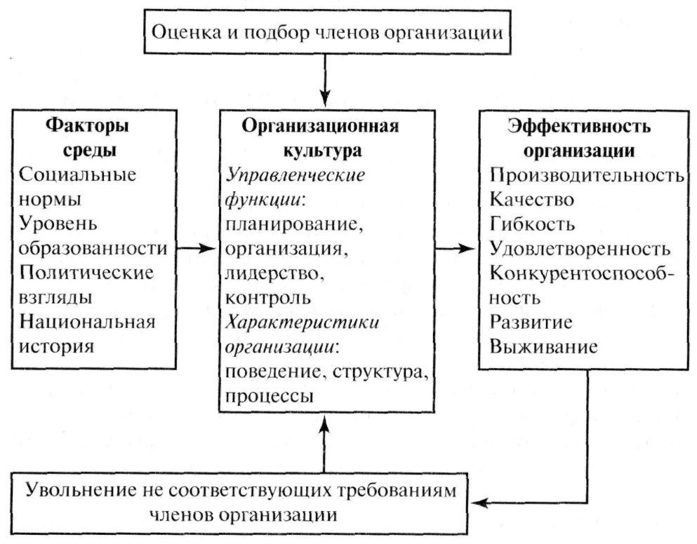 Аспекты воздействия и цели организационной культуры - Характер, структура и функции организационной культуры 