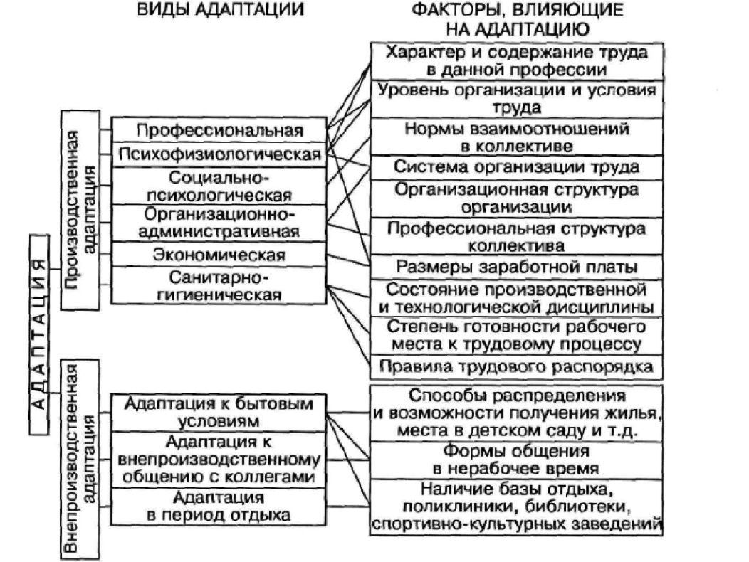 Адаптация в организационной культуре - Характеристики и структура организационной культуры