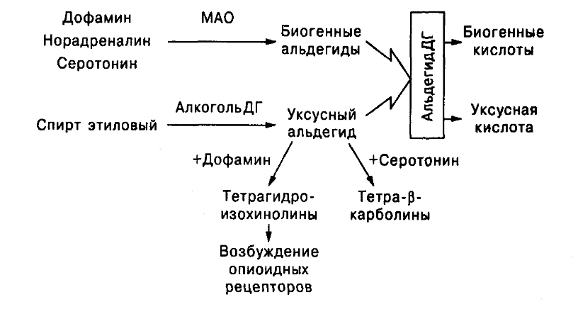 Алкоголь и психические расстройства  - Концепция и стадии алкоголизма