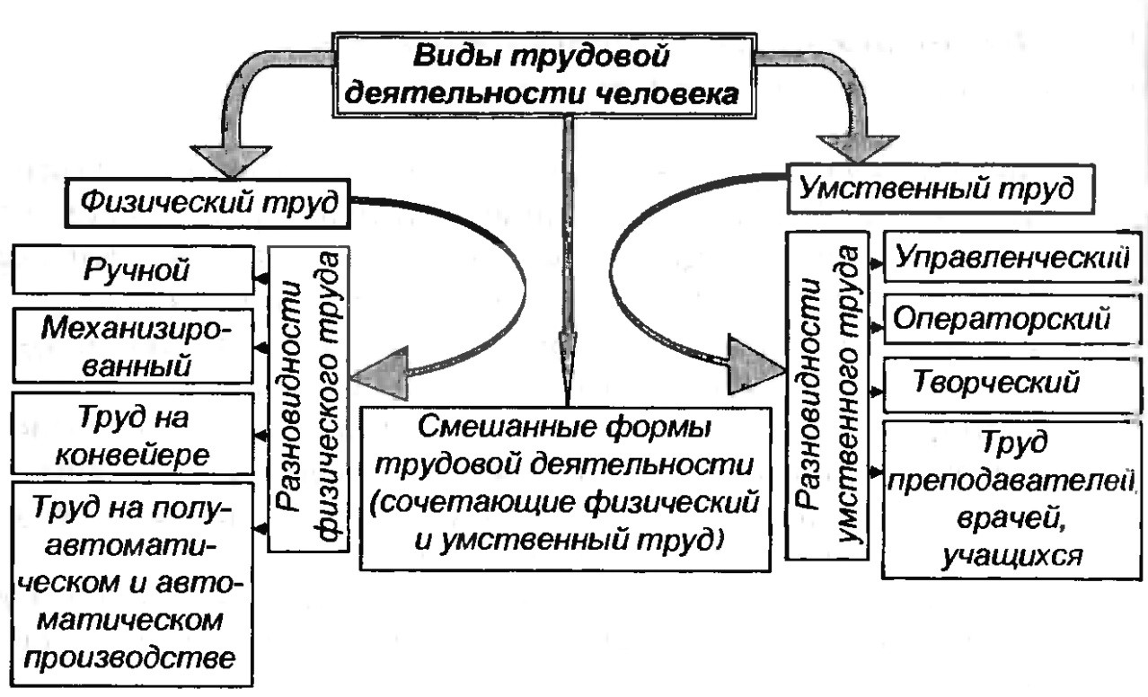 Трудовая деятельность - Особенности трудовой деятельности