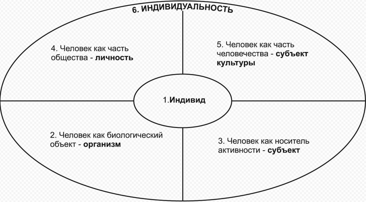 Соотношение понятий индивид, субъект деятельности, личность, индивидуальность - Человек