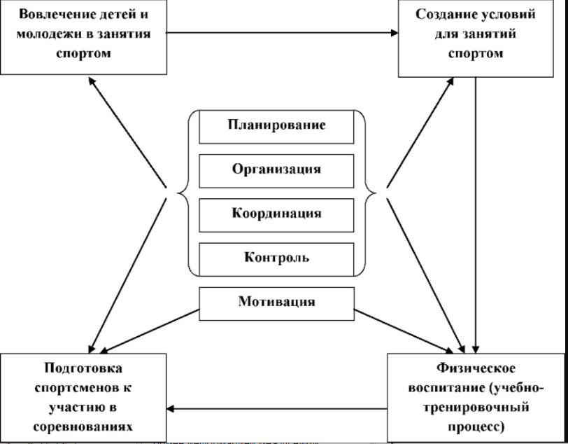 Частные функции менеджмента - Основные функции управления и их взаимоотношения друг с другом