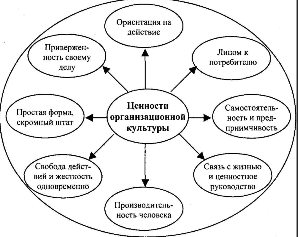 Влияние национально-исторических факторов на развитие менеджмента - Разнообразие моделей управления