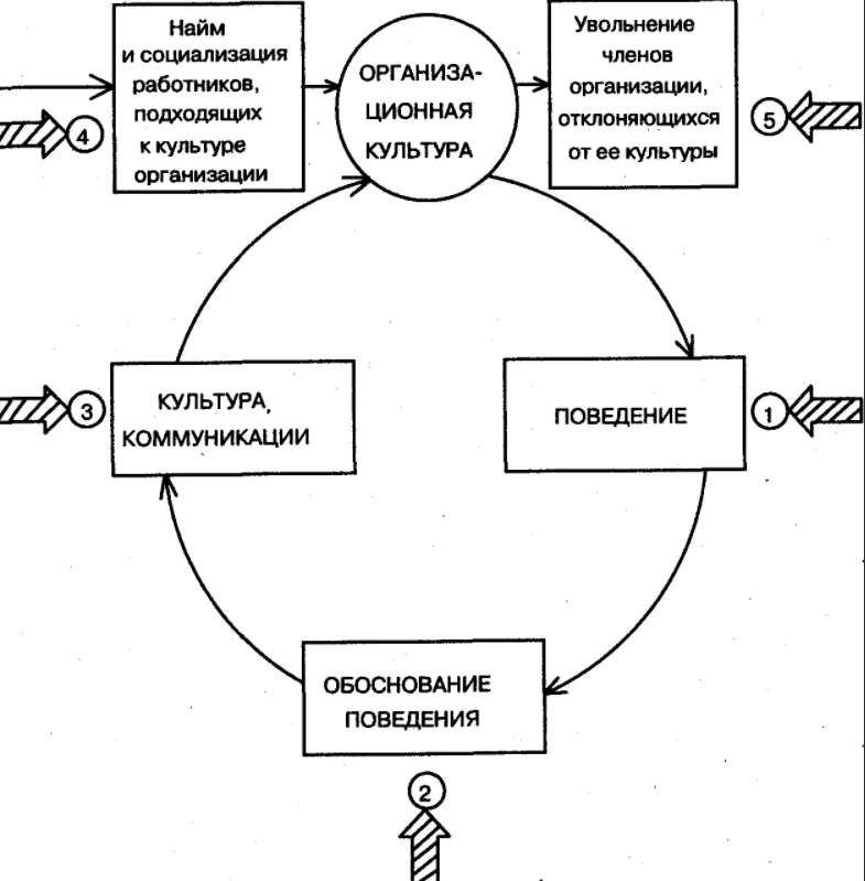 Влияние организационной культуры на персонал - Концепция организационной культуры