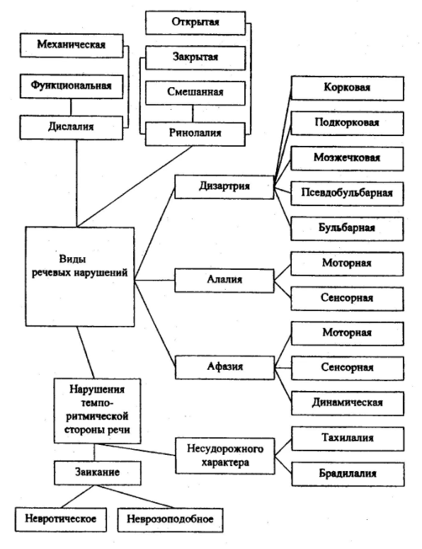 Социальный статус младших школьников с тяжелыми нарушениями речи - Тяжелые речевые расстройства, причины, классификация