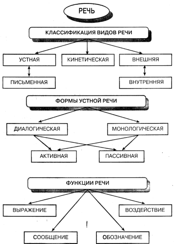 Соотношение мышления и речи - Общие характеристики мышления