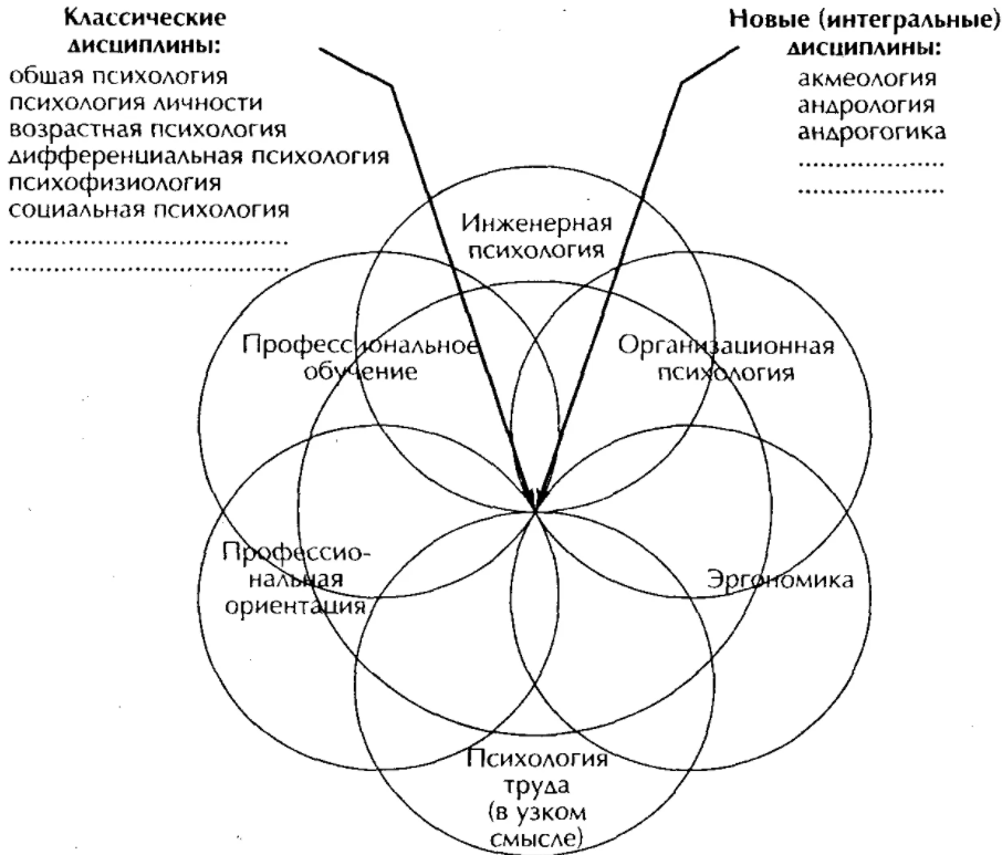 Социальная психология как основа профессионального становления и личностного развития психолога в образовании - Анализ концепции личностного профессионального развития