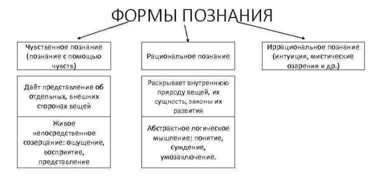 Чувственный уровень познания - Чувства, восприятия и идеи