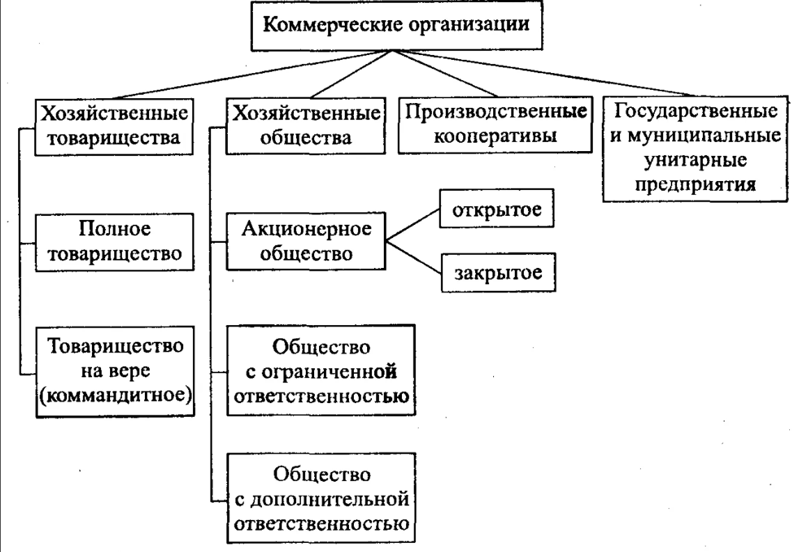 Виды коммерческих организаций - Концепция, характер и типы коммерческих организаций 