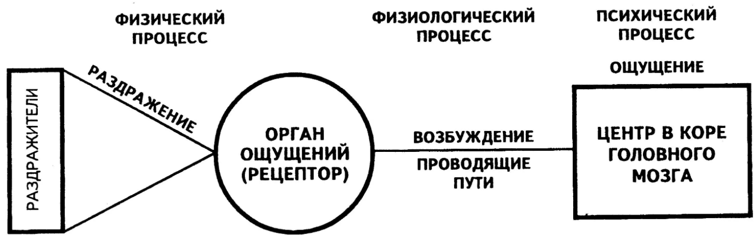 Восприятие роли исполнителем - Общие характеристики мастер-канала восприятия 