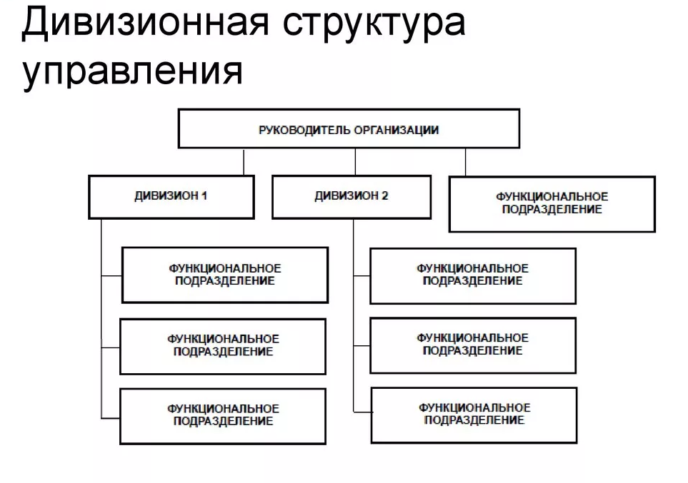 Дивизиональные организационные структуры управления - Область применения дивизиональной структуры