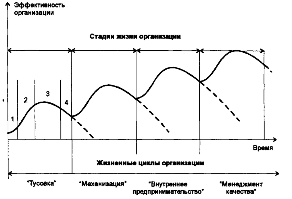 Жизненный цикл организации и управление организацией - Структура организационного жизненного цикла