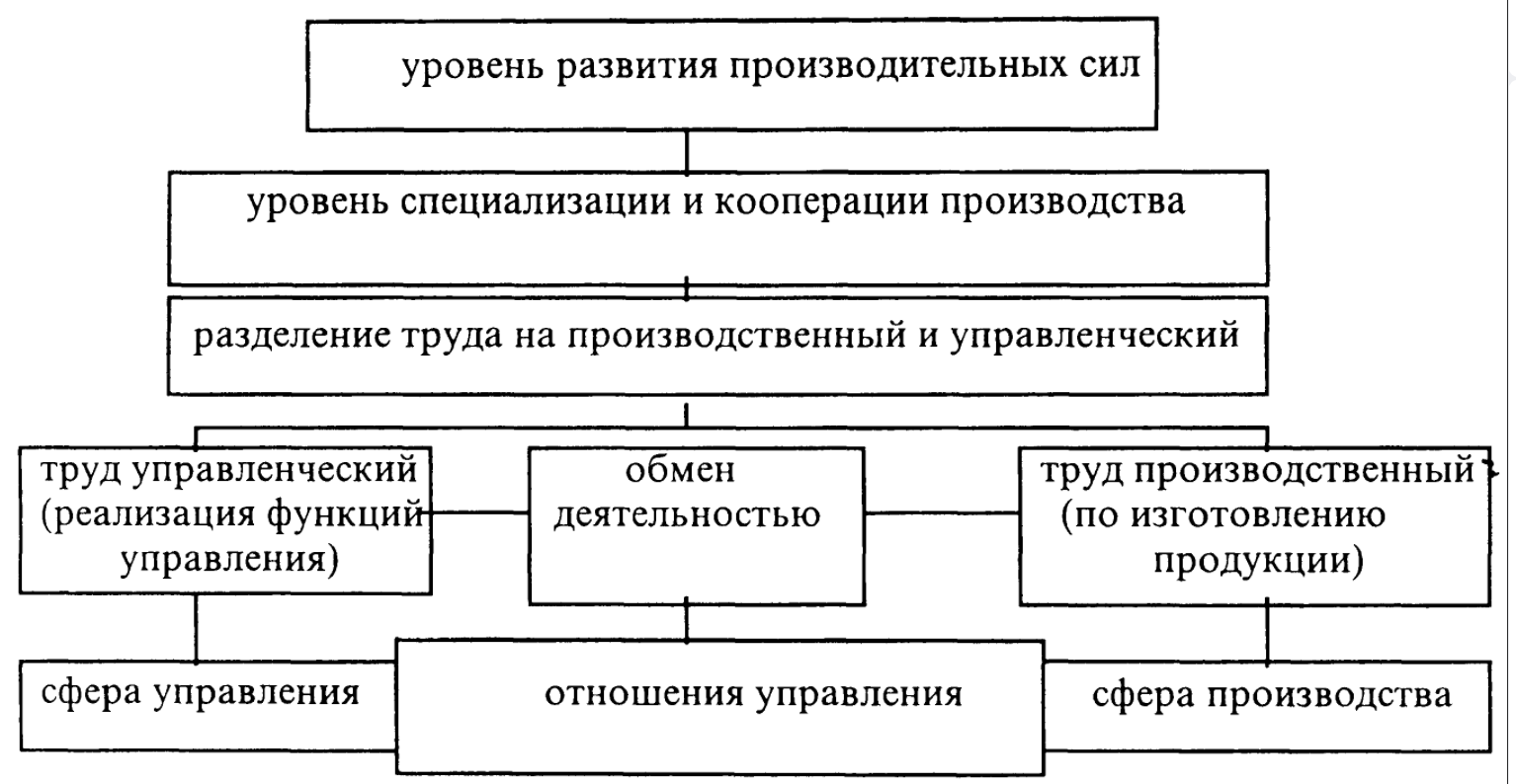 Значение принципа разделения труда для функционирования организации - Создание организационных структур в современных условиях