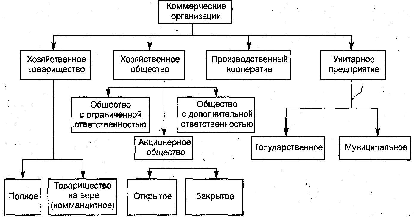 Зарубежные организационно-правовые формы - Основы социальной защиты населения за рубежом