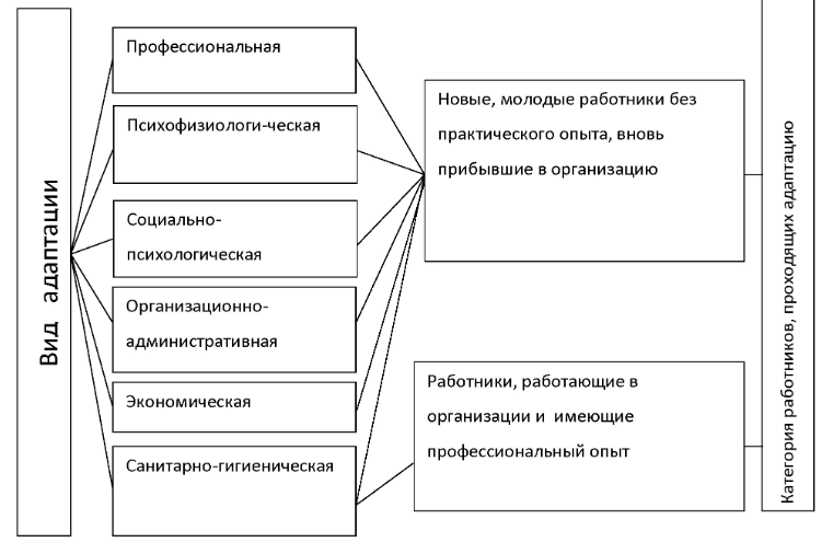 Адаптация персонала в организации - Понятие, цели и виды кадровой адаптации