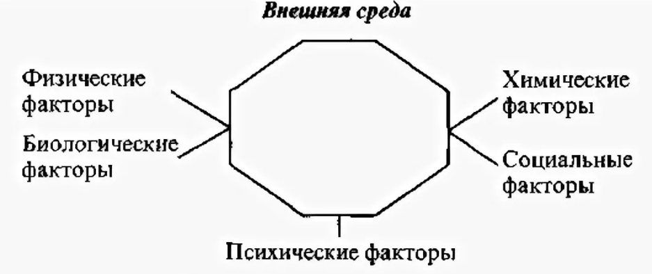 Адаптация во внешней среде - Сущность адаптации человека