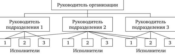 Функциональная организационная структура управления - Организационные структуры управления