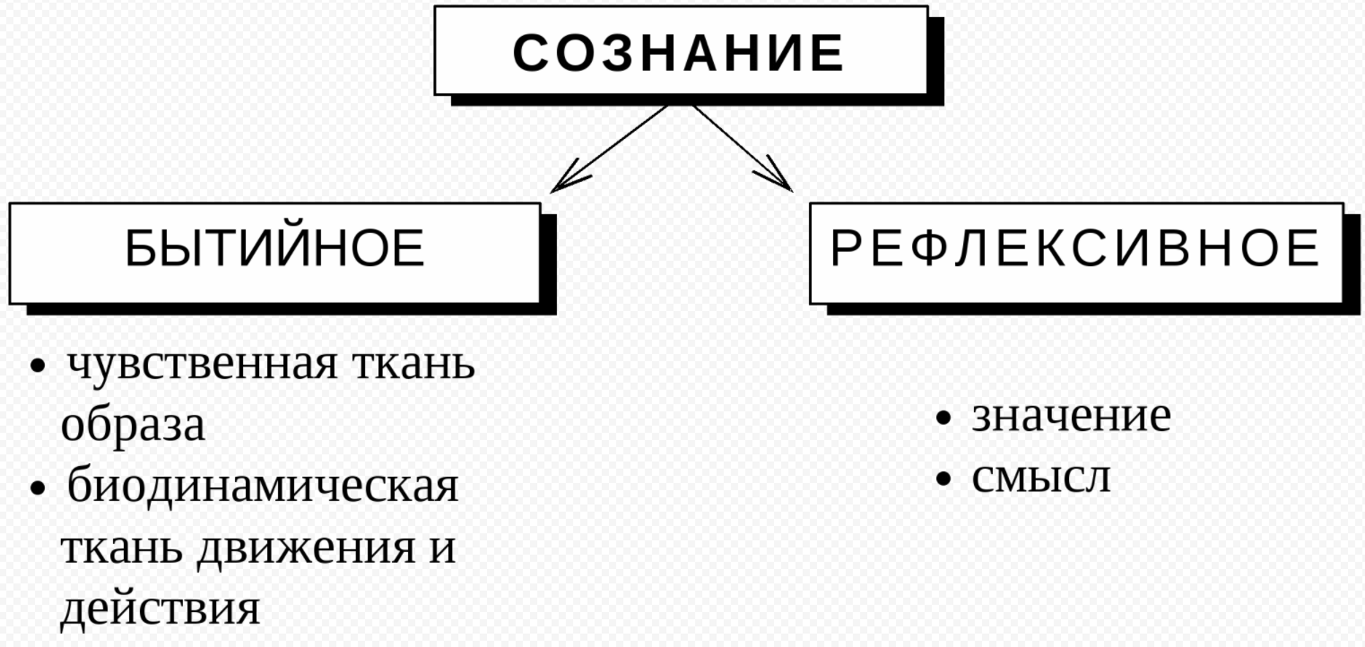 Сознание и язык - Концепция Сознания