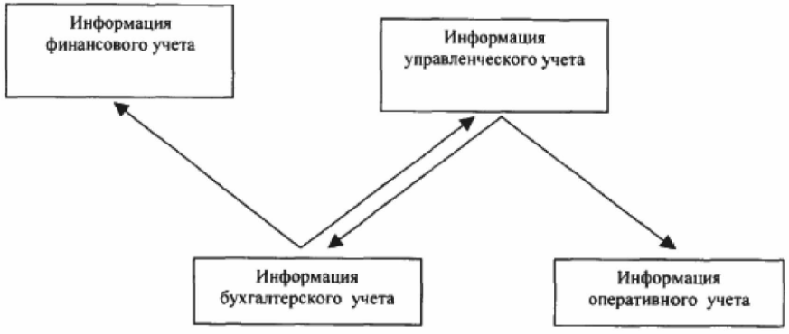 Функции информационного менеджмента - Информационные технологии