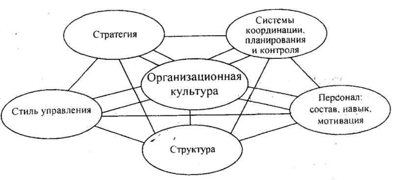 Функции и ценности организационной культуры - Сущность и концепция организационной культуры