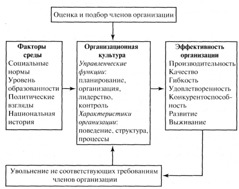 Функции и типы организационной культуры -  Характеристики  организационной культуры