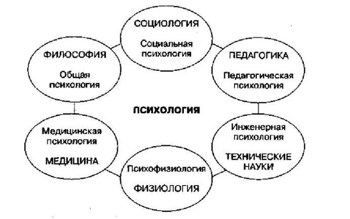 Философское знание и управление - Предмет философии